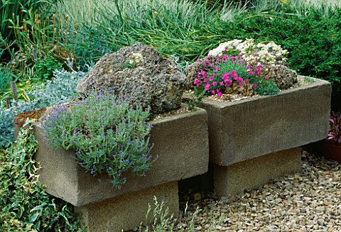STONE_SINKS_PLANTED_WITH_ALPINES_TURN_END_GARDEN__BUCKINGHAMSHIRE