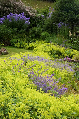 VEDDW_HOUSE_GARDEN__GWENT__WALES_DESIGNERS_ANNE_WAREHAM_AND_CHARLES_HAWES__BORDER_DOMINATED_BY_ALCHE