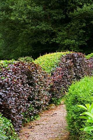 VEDDW_HOUSE_GARDEN__GWENT__WALES_DESIGNERS_ANNE_WAREHAM_AND_CHARLES_HAWES__WAVE_HEDGING_BESIDE_THE_G