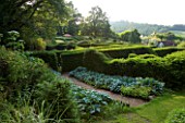 VEDDW HOUSE GARDEN  GWENT  WALES: DESIGNERS ANNE WAREHAM AND CHARLES HAWES - THE HOSTA WALK WITH VIEW TO THE GRASSES PARTERRE