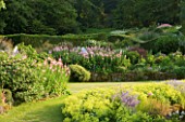 VEDDW HOUSE GARDEN  GWENT  WALES: DESIGNERS ANNE WAREHAM AND CHARLES HAWES - VIEW ACROSS THE CRESCENT BORDER TO THE GRASSES PARTERRE - ALCHEMILLA MOLLIS AND EPILOBIUM ANGUSTIFOLIUM