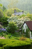 VEDDW HOUSE GARDEN  GWENT  WALES: DESIGNERS ANNE WAREHAM AND CHARLES HAWES - VIEW ACROSS THE GRASS PARTERRE TO COTTAGE AND CORNUS IN FLOWER. SPRING