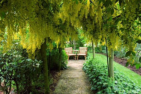 HUNMANBY_GRANGE___YORKSHIRE_A_PLACE_TO_SIT_PATH_LEADING_TO_SEATING_AREA_IN_LABURNUM_AVENUETUNNEL_UND