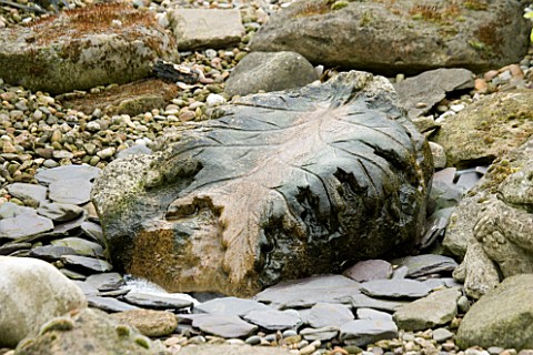 HUNMANBY_GRANGE__YORKSHIRE_CARVED_STONE_FEATURE_WITH_LEAF_DESIGN_AMONGST_ROCKS__PEBBLES_AND_GRAVEL