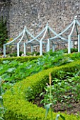 YEWBARROW HOUSE GARDENS  CUMBRIA - THE KITCHEN GARDEN WITH BLUE CLOCHES IN THE BACKGROUND