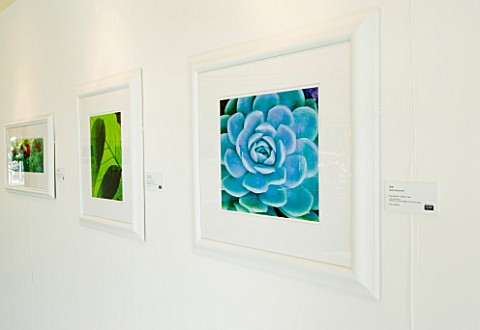 WHITE_PEAKS_EXHIBITION_AT_KEW__IMAGINE_YESTERDAY_TODAY