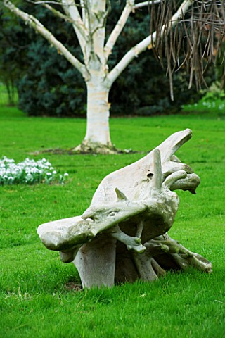 WOODPECKERS__WARWICKSHIRE__WINTER_WOODEN_CARVED_BENCH_ON_LAWN_WITH_BETULA_UTILIS_VAR_JACQUEMONTII_BE