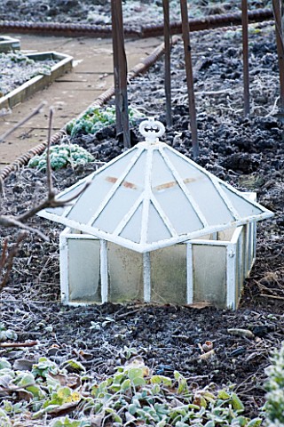 WOODPECKERS__WARWICKSHIRE__WINTER_OLD_FASHIONED_CLOCHE_IN_THE_POTAGER__IN_FROST