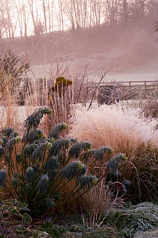 WOODPECKERS__WARWICKSHIRE__WINTER_FROSTY_BORDER_WITH_EUPHORBIA_AND_STATUE_WITH_COUNTRYSIDE_BEHIND