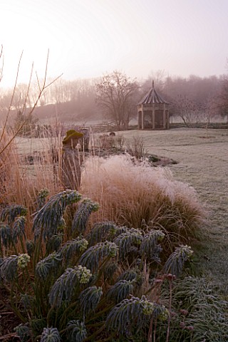 WOODPECKERS__WARWICKSHIRE__WINTER_LAWN_COVERED_WITH_FROST_BESIDE_A__BORDER_OF_GRASSES__EUPHORBIA_AND
