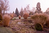 WOODPECKERS  WARWICKSHIRE  WINTER: VIEW ACROSS FROSTED POND/ POOL WITH GRASSES