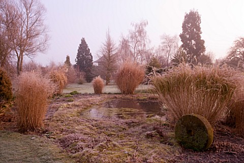 WOODPECKERS__WARWICKSHIRE__WINTER_VIEW_ACROSS_FROSTED_POND_POOL_WITH_GRASSES