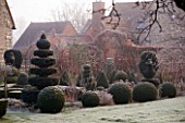 WOODPECKERS  WARWICKSHIRE  WINTER: THE FORMAL GARDEN IN FROST - YEW AND BOX TOPIARY SHAPES