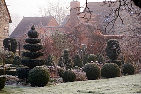 WOODPECKERS__WARWICKSHIRE__WINTER_THE_FORMAL_GARDEN_IN_FROST__YEW_AND_BOX_TOPIARY_SHAPES