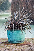 WOODPECKERS  WARWICKSHIRE  WINTER: FROSTED PHORMIUM IN LARGE COPPER CONTAINER - FROST