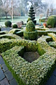 VIEW ACROSS FROSTED CLIPPED BOX HEDGING (KNOT GARDEN) IN POTAGER AT WOODPECKERS  WARWICKSHIRE  WINTER: