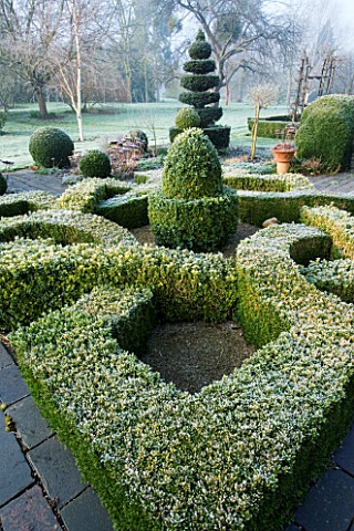VIEW_ACROSS_FROSTED_CLIPPED_BOX_HEDGING_KNOT_GARDEN_IN_POTAGER_AT_WOODPECKERS__WARWICKSHIRE__WINTER