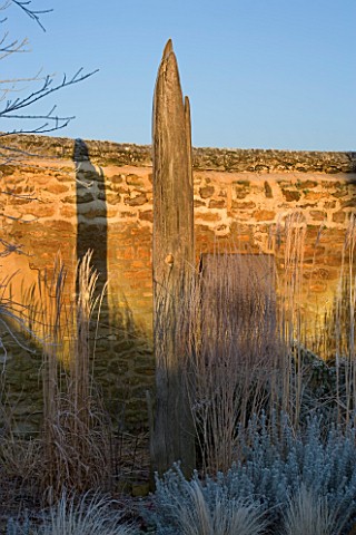 RICKYARD_BARN_GARDEN__NORTHAMPTONSHIRE__WINTER__THE_GARDEN_IN_FROST_AT_DAWN_WITH_DRIFTWOOD_SCULPTURE