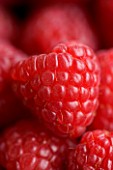 CLOSE UP OF RASPBERRY. ORGANIC  NATURAL  HEALTHY