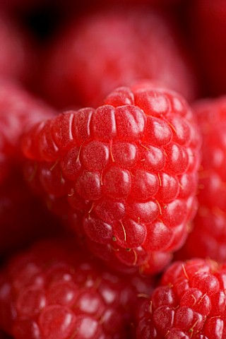 CLOSE_UP_OF_RASPBERRY_ORGANIC__NATURAL__HEALTHY