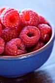 CLOSE UP OF RASPBERRIES IN A BLUE BOWL. ORGANIC  NATURAL  HEALTHY
