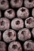 TONED IMAGE OF BLUEBERRIES. ORGANIC  NATURAL  HEALTHY  PATTERN. ANTI OXIDANT