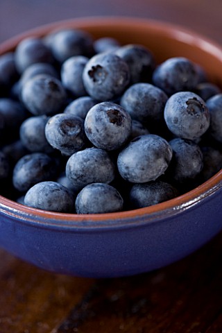 BLUEBERRIES_IN_A_BLUE_BOWL_ORGANIC__NATURAL__HEALTHY__PATTERN_ANTI_OXIDANT