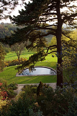 KIFTSGATE_COURT__GLOUCESTERSHIRE_THE_LOWER_GARDEN_AND_SWIMMING_POOL_SEEN_THROUGH_THE_SCOTCH_FIRS