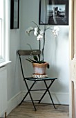 BOONSHILL FARM  EAST SUSSEX. INTERIOR OF LANDING WITH OLD WOODEN FOLDING CHAIR WITH WHITE ORCHID IN CONTAINER. FRAMED PHOTOGRAPHS BY MICK SHAW. DESIGNER: LISETTE PLEASANCE