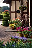 LITTLE LARFORD  WORCESTERSHIRE: DESIGNER DEREK WALKER - THE FRONT OF THE COTTAGE IN SPRING WITH TOPIARY TWIRL AND CONTAINERS PLANTED WITH PRIMULAS