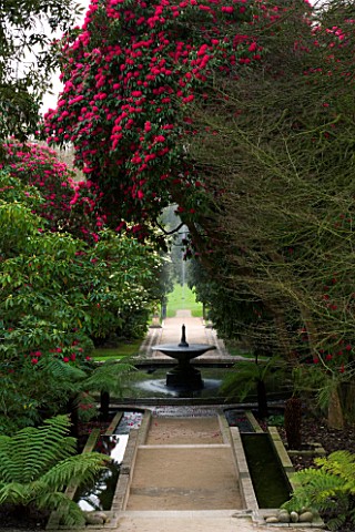 HOLKER_HALL__CUMBRIA__RHODODENDRONS__AND_TREE_FERNS_BESIDE_THE_FOUNTAIN__POOL_AND_LIMESTONE_CASCADE