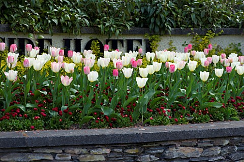 THE_LAKESIDE_HOTEL__CUMBRIA_TULIPS_AND_WALLFLOWERS