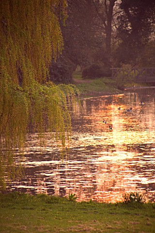 KELMARSH_HALL__NORTHAMPTONSHIRE_VIEW_AT_SUNSET_OF_THE_SUN_SETTING_ON_THE_LAKE_OVERHUNG_BY_WEEPING_WI