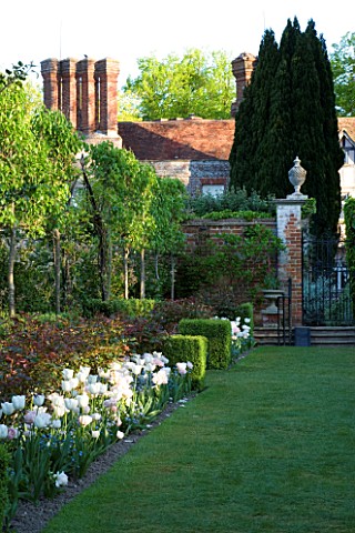 PASHLEY_MANOR__EAST_SUSSEX_TULIP_ANGELIQUE_IN_THE_FOREGROUND_WITH_THE_WALLED_GARDEN_AND_MANOR_HOUSE_