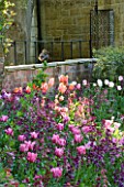 PASHLEY MANOR  EAST SUSSEX: BORDER WITH TULIPS INCLUDING TULIP DORDOGNE IN SPRING WITH MALLARD DUCK ON WALL
