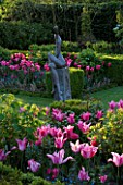 PASHLEY MANOR  EAST SUSSEX: BOX GARDEN IN SPRING WITH SCULPTURE BY HELEN SINCLAIR SURROUNDED BY TULIP MARIETTE