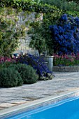 PASHLEY MANOR  EAST SUSSEX: THE SWIMMING POOL GARDEN ORNATE STONE SEAT SURROUNDED BY A CEANOTHUS AND WALLFLOWERS