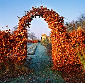 A COPPER BEECH  ARCHWAY WITH THE PAVILION VISIBLE IN THE B/G. DAVID HICKS GARDEN  OXFORDSHIRE