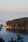CORFU  GREECE: VIEW OF CYPRESS TREES ON THE NORTH EAST COAST