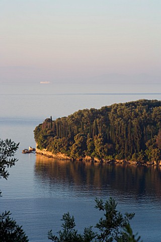 CORFU__GREECE_VIEW_OF_CYPRESS_TREES_ON_THE_NORTH_EAST_COAST