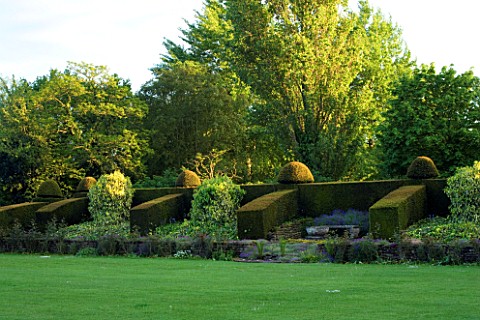 WARDINGTON_MANOR_GARDEN__OXFORDSHIRE_LAWN_IN_EVENING_WITH_YEW_BUTRESSES_AND_TREES