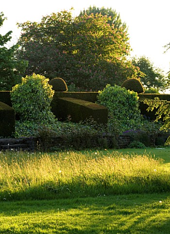 WARDINGTON_MANOR_GARDEN__OXFORDSHIRE_VIEW_ACROSS_LAWN_AND_MEADOW_TO_YEW_BUTTRESSES_IN_THE_EVENING_LI