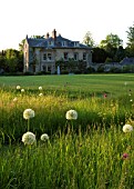 THE OLD RECTORY  MIXBURY  NORTHANTS. DESIGNER: ANGEL COLLINS. THE RECTORY IN THE BACKGROUND WITH THE LAWN AND MEADOW PLANTED WITH ALLIUM MOUNT EVEREST  ALLIUM PURPLE SENSATION