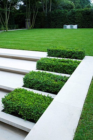 CONTEMPORARY_GARDEN_DESIGNED_BY_CHARLOTTE_SANDERSON_BOX_RECTANGLES_SET_INTO_STEPS_WITH_LAWN_AND_WAVE