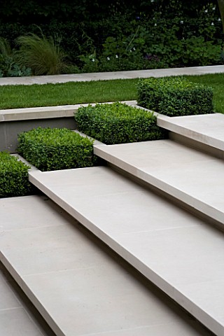 CONTEMPORARY_TOWNURBAN_GARDEN_DESIGNED_BY_CHARLOTTE_SANDERSON_LIMESTONE_STEPS_WITH_BOX_RECTANGLES