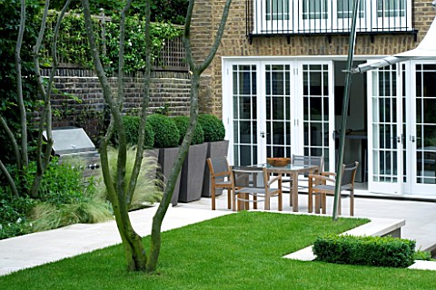 URBAN_CONTEMPORARY_MODERN_MINIMALIST_GARDEN_DESIGNED_BY_CHARLOTTE_SANDERSON_VIEW_ACROSS_LAWN_WITH_PA