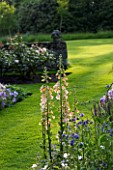 THE OLD RECTORY  HASELBECH  NORTHAMPTONSHIRE: LAWN AND BORDER WITH DIGITALIS SUTTONS APRICOT