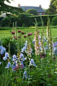 THE OLD RECTORY  HASELBECH  NORTHAMPTONSHIRE: HERBACEOUS BORDER WITH IRIS JANE PHILLIPS  DIGITALIS SUTTONS APRICOT AND PAPAVER ORIENTALE PATTYS PLUM