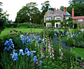 THE OLD RECTORY  HASELBECH  NORTHAMPTONSHIRE - THE OLD RECTORY BEHIND WITH BORDER OF IRIS JANE PHILLIPS  DIGITALIS SUTTONS APRICOT AND PAPAVER ORIENTALE PATTYS PLUM