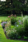 THE OLD RECTORY  HASELBECH  NORTHAMPTONSHIRE - LAWN AND HERBACEOUS BORDER PLANTED WITH IRIS JANE PHILLIPS  DIGITALIS SUTTONS APRICOT & PAPAVER PATTYS PLUM